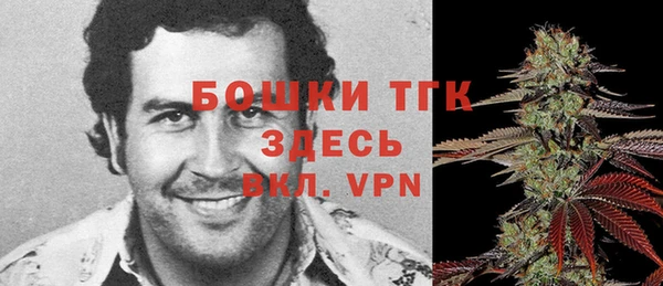 apvp Алексин