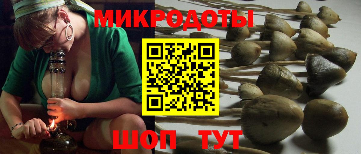 Псилоцибиновые грибы Magic Shrooms  Псилоцибиновые грибы Psilocybe  Губкин  Вход с VPN 