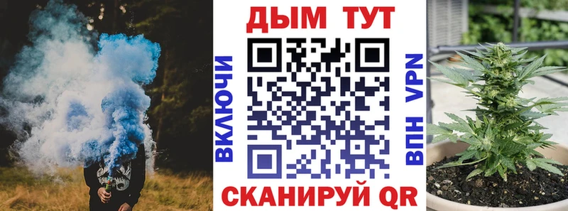 дарк нет какой сайт  Губкин  Шишки марихуана планчик 